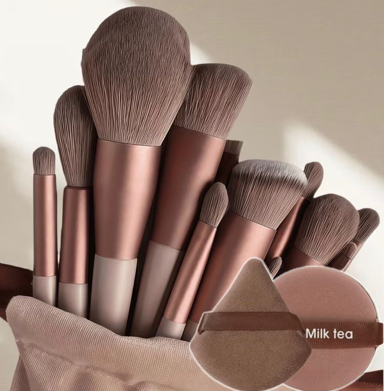 SET DE 15 BROCHAS PROFESIONALES